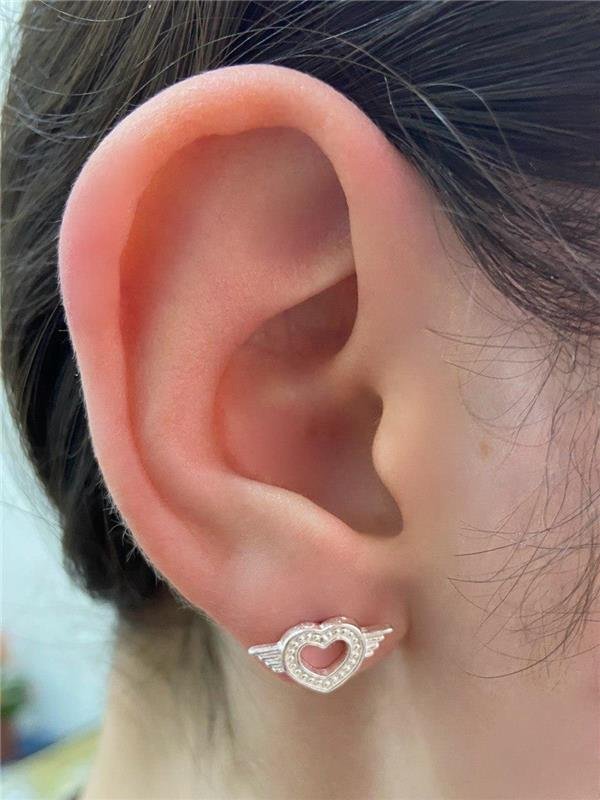 BRINCO CORAÇÃO ALADO