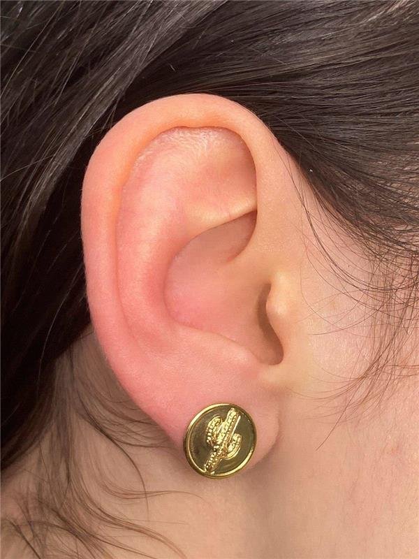 BRINCO REDONDO/CACTO