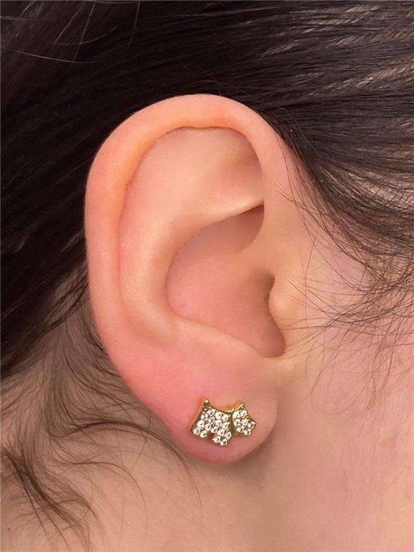 BRINCO CACHORRO CRAVEJADO