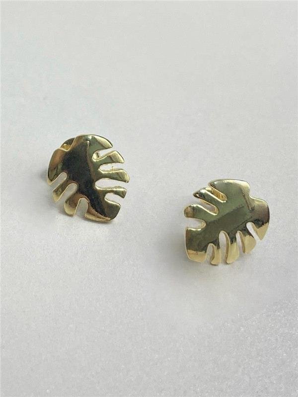 BRINCO DR FOLHA COSTELA DE ADÃO 