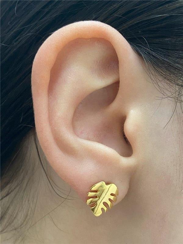 BRINCO DR FOLHA COSTELA DE ADÃO 